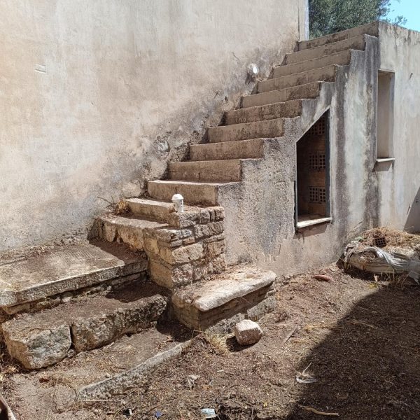 viber_image_2024-06-24_12-59-15-621