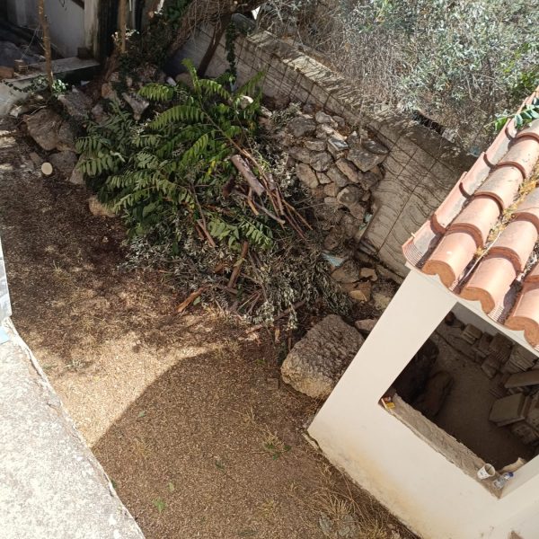 viber_image_2024-06-24_12-59-16-619