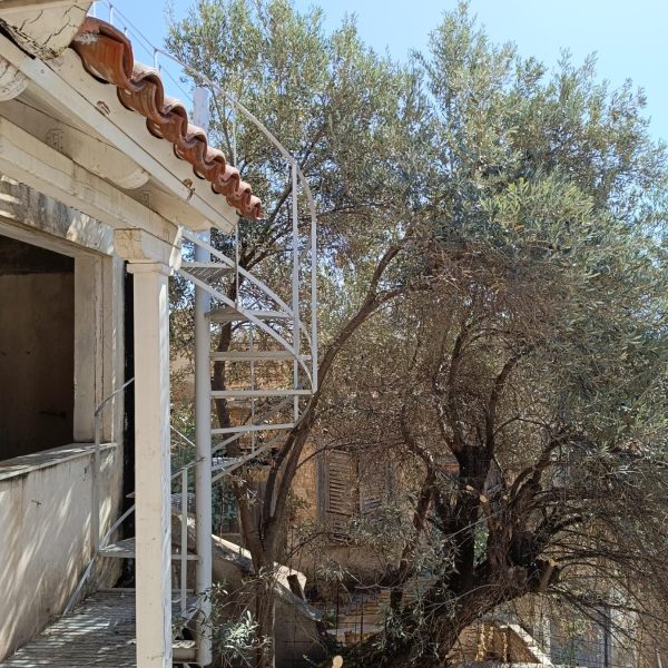 viber_image_2024-06-24_12-59-16-879