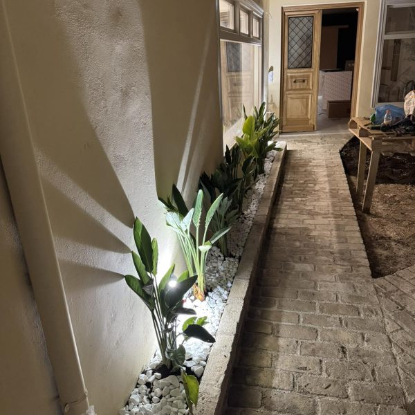 viber_image_2025-07-26_01-49-25-767